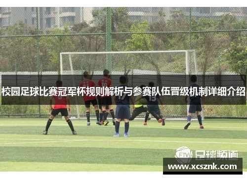 校园足球比赛冠军杯规则解析与参赛队伍晋级机制详细介绍
