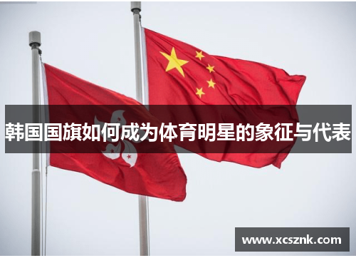 韩国国旗如何成为体育明星的象征与代表